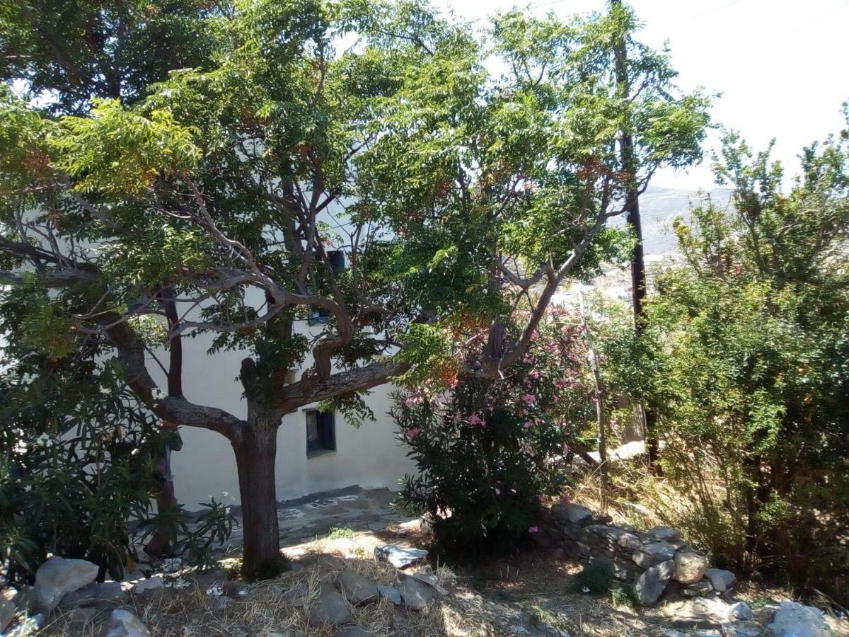 Arthome1 Panormos  Bagian luar foto
